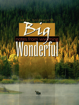 cover image of Big Wonderful